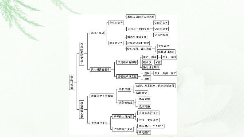 人教版（浙江专用）高中思想政治选择性必修2法律与生活第2单元核心素养整合课件04