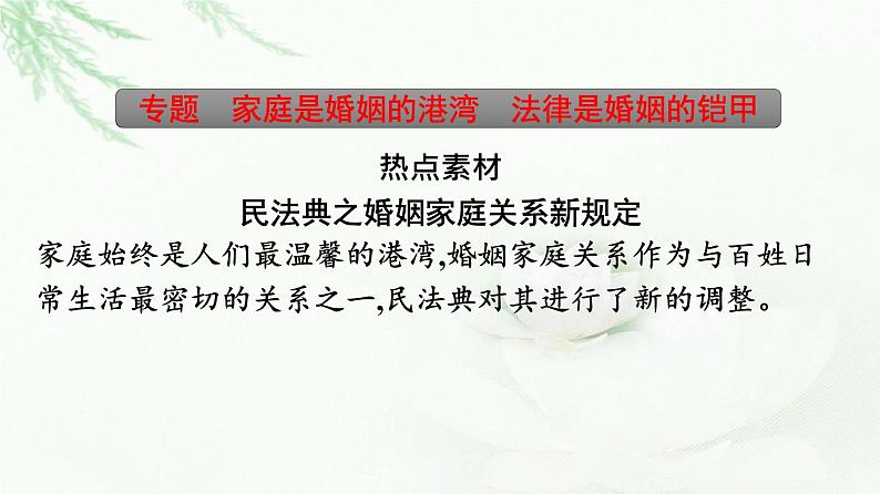 人教版（浙江专用）高中思想政治选择性必修2法律与生活第2单元核心素养整合课件06