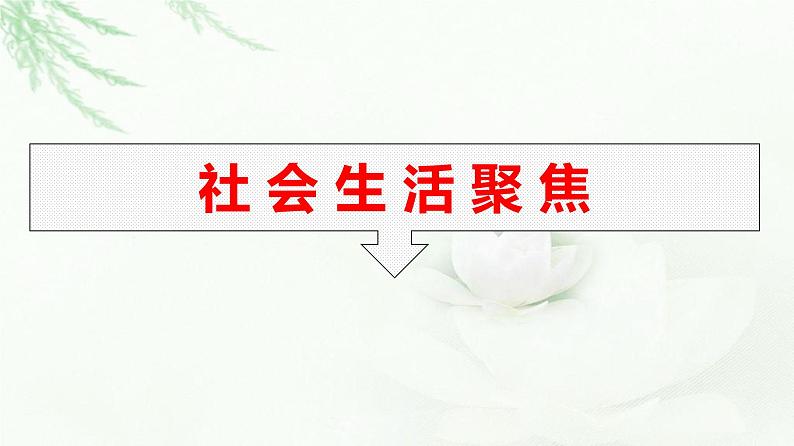 人教版（浙江专用）高中思想政治选择性必修2法律与生活第3单元核心素养整合课件第5页