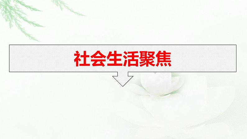 人教版（浙江专用）高中思想政治选择性必修1政治与经济第1单元核心素养整合课件第5页