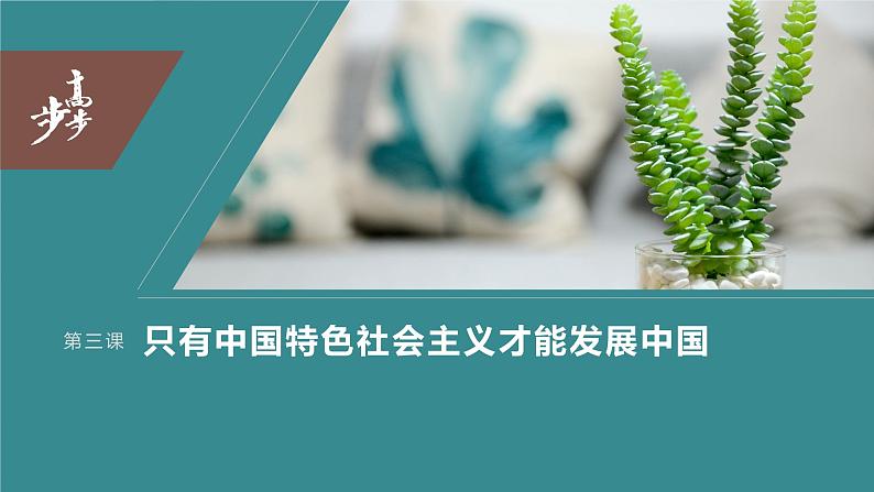 2024年高考政治一轮复习课件（部编版） 必修1　第03课　只有中国特色社会主义才能发展中国03