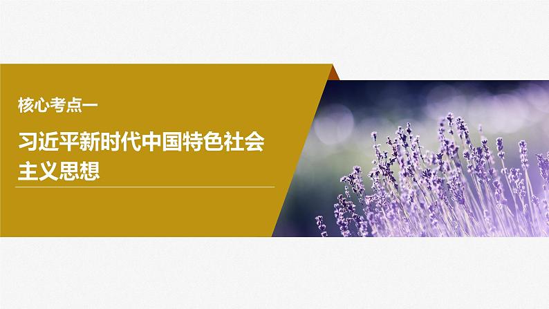 2024年高考政治一轮复习课件（部编版） 必修1　第04课　课时2　习近平新时代中国特色社会主义思想06