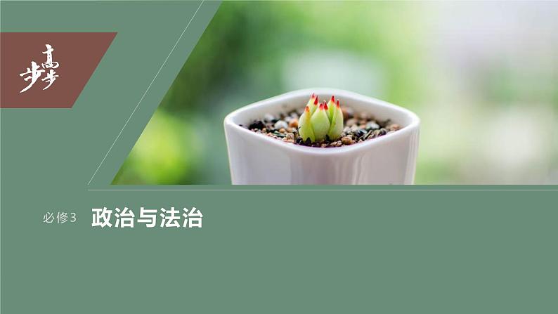2024年高考政治一轮复习课件（部编版） 必修3　大题攻略　主观题对“全面依法治国”的考查03