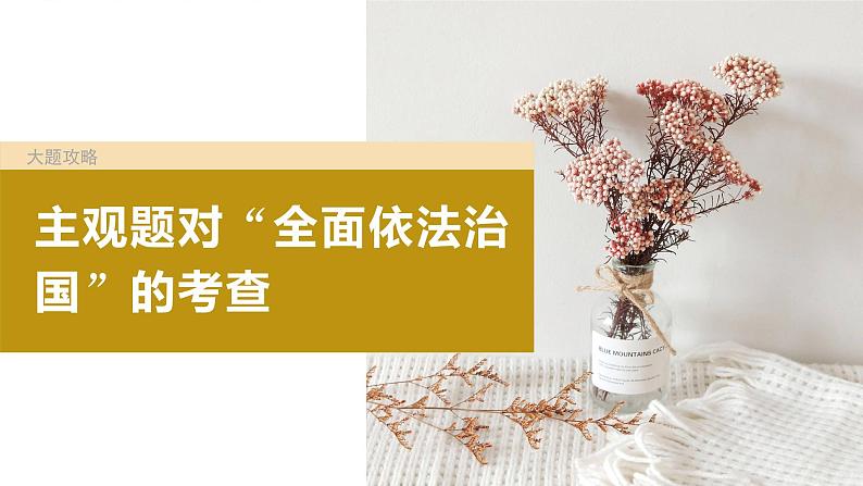 2024年高考政治一轮复习课件（部编版） 必修3　大题攻略　主观题对“全面依法治国”的考查04