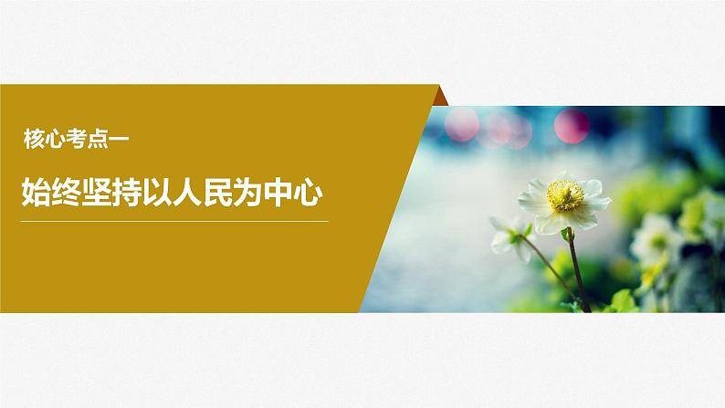 2024年高考政治一轮复习课件（部编版） 必修3　第10课　中国共产党的先进性08