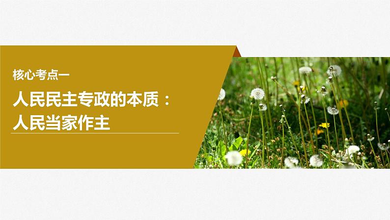 2024年高考政治一轮复习课件（部编版） 必修3　第12课　人民民主专政的社会主义国家08