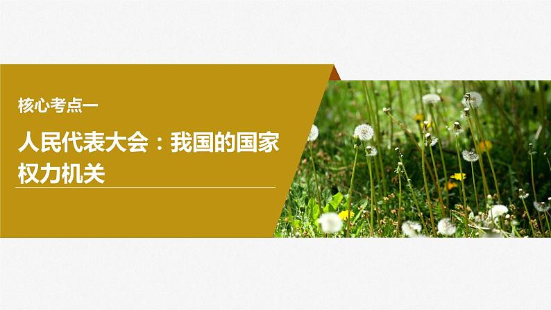 2024年高考政治一轮复习课件（部编版） 必修3　第13课　我国的根本政治制度08