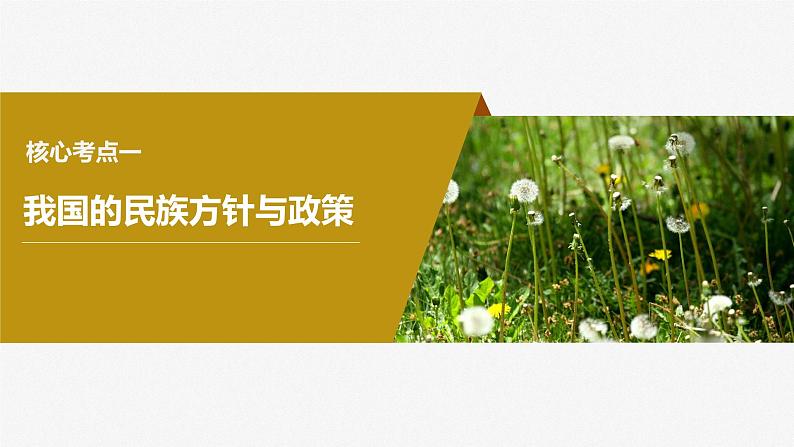 2024年高考政治一轮复习课件（部编版） 必修3　第14课　课时2　民族区域自治制度第6页