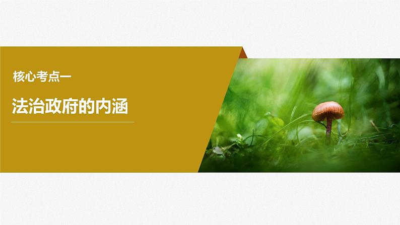 2024年高考政治一轮复习课件（部编版） 必修3　第16课　课时2　法治政府06