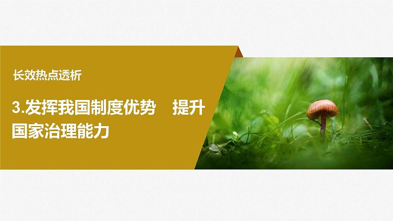 2024年高考政治一轮复习课件（部编版） 必修3　阶段提升复习3　坚持党的领导、人民当家作主、依法治国有机统106