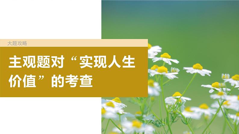 2024年高考政治一轮复习课件（部编版） 必修4　大题攻略　主观题对“实现人生价值”的考查04