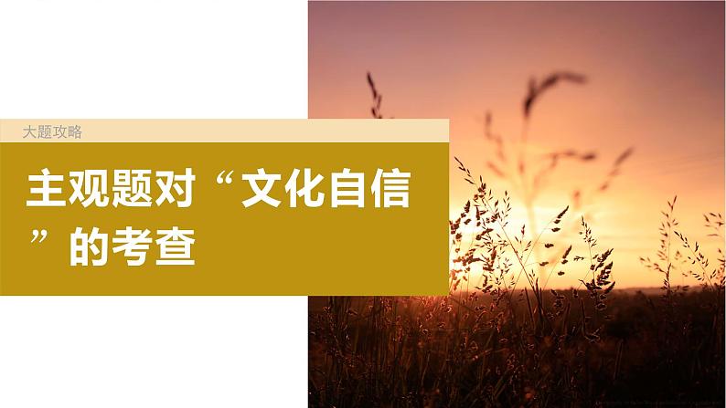 2024年高考政治一轮复习课件（部编版） 必修4　大题攻略　主观题对“文化自信”的考查第4页