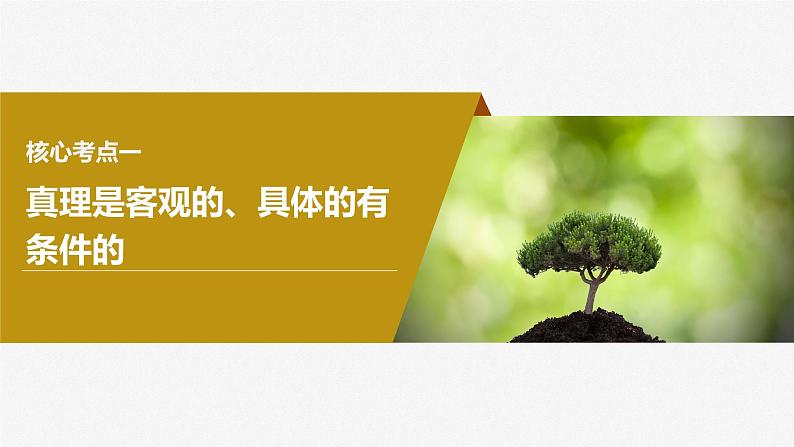 2024年高考政治一轮复习课件（部编版） 必修4　第21课　课时2　在实践中追求和发展真理06