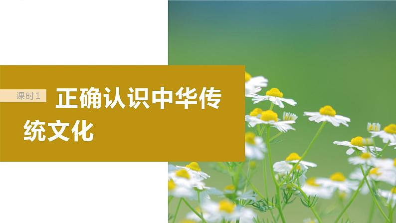 2024年高考政治一轮复习课件（部编版） 必修4　第24课　课时1　正确认识中华传统文化07