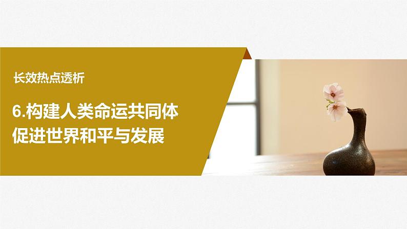 2024年高考政治一轮复习课件（部编版） 选择性必修1　阶段提升复习6　当代国际政治与经济06