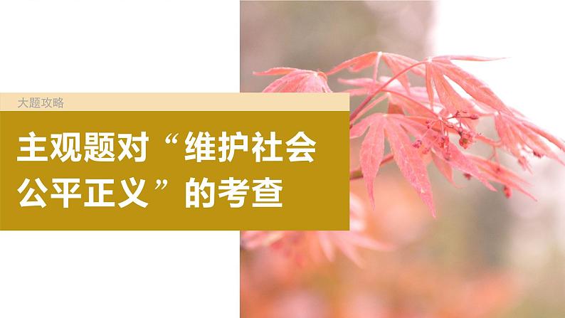 2024年高考政治一轮复习课件（部编版） 选择性必修2　大题攻略　主观题对“维护社会公平正义”的考查04