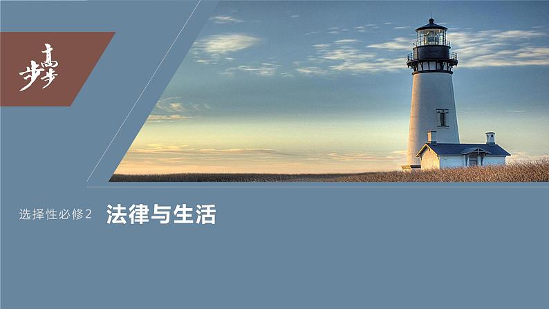 2024年高考政治一轮复习课件（部编版） 选择性必修2　大题攻略　主观题对“知识产权的保护”的考查03