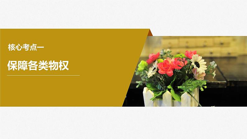 2024年高考政治一轮复习课件（部编版） 选择性必修2　第31课　课时2　依法有效保护财产权06