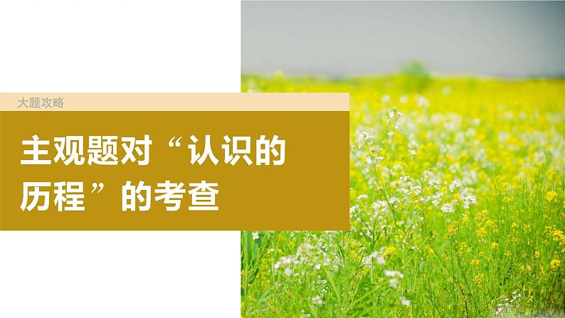 2024年高考政治一轮复习课件（部编版） 选择性必修3　大题攻略　主观题对“认识的历程”的考查04