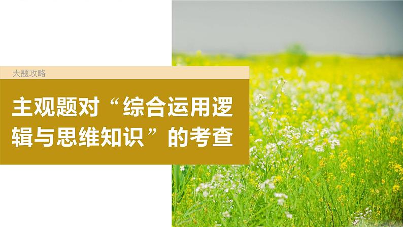 2024年高考政治一轮复习课件（部编版） 选择性必修3　大题攻略　主观题对“综合运用逻辑与思维知识”的考查04