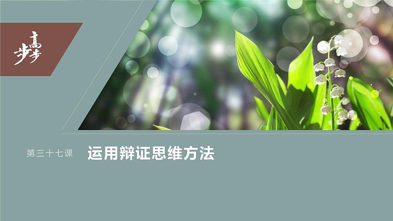 2024年高考政治一轮复习课件（部编版） 选择性必修3　第37课　课时1　辩证分合与质量互变03