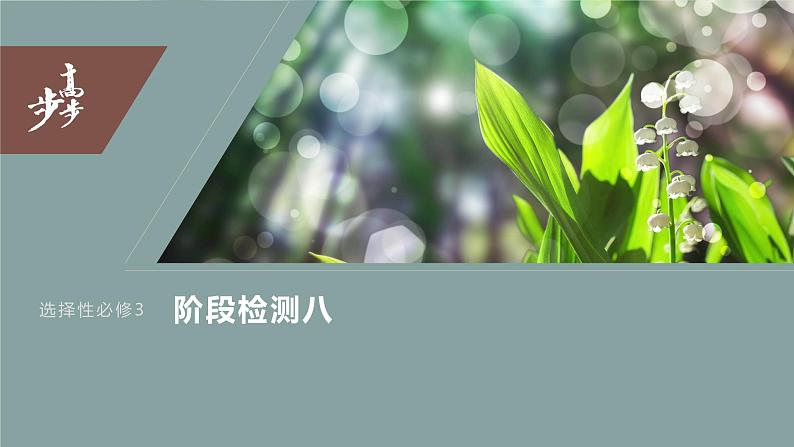 2024年高考政治一轮复习课件（部编版） 选择性必修3　阶段检测803