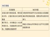 2024春高中政治第2單元世界多極化第5課中國的外交時(shí)政透視課件（部編版選擇性必修1）