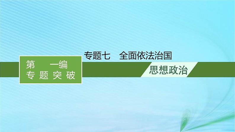 新高考新教材2024届高考政治二轮总复习专题7全面依法治国课件01