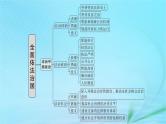 新高考新教材2024届高考政治二轮总复习专题7全面依法治国课件