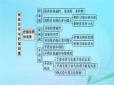 新高考新教材2024届高考政治二轮总复习专题8探索世界与把握规律课件