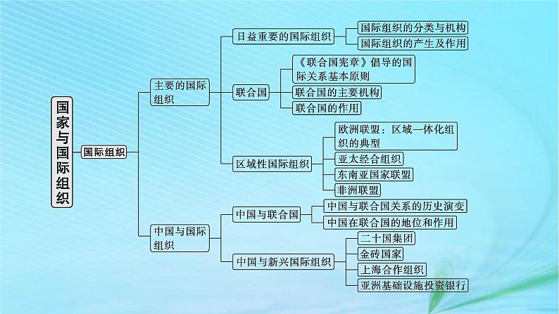 新高考新教材2024届高考政治二轮总复习专题11国家与国际组织课件第4页