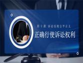 10.1 正确行使诉讼权利  课件 - 高中政治统编版选择性必修二法律与生活