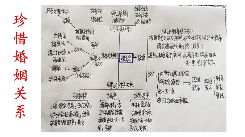 第六课 珍惜婚姻关系 课件-2024届高考政治一轮复习统编版选择性必修二法律与生活01