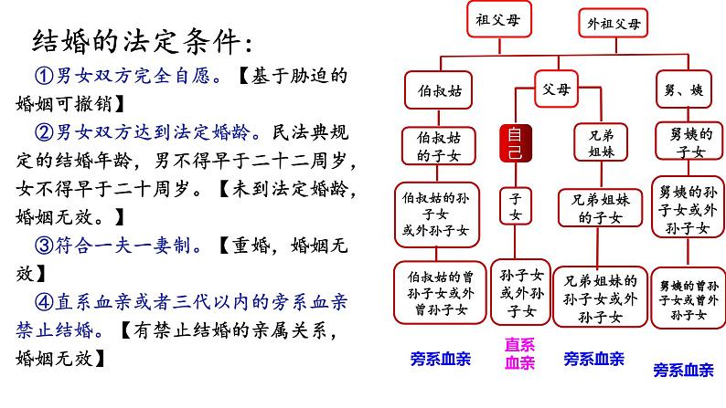 第六课 珍惜婚姻关系 课件-2024届高考政治一轮复习统编版选择性必修二法律与生活02