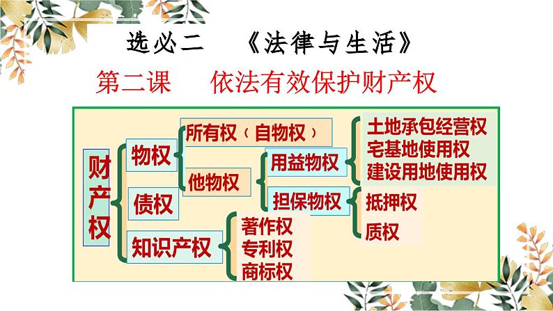 第二课 依法有效保护财产权 课件-2024届高考政治一轮复习统编版选择性必修二法律与生活第1页