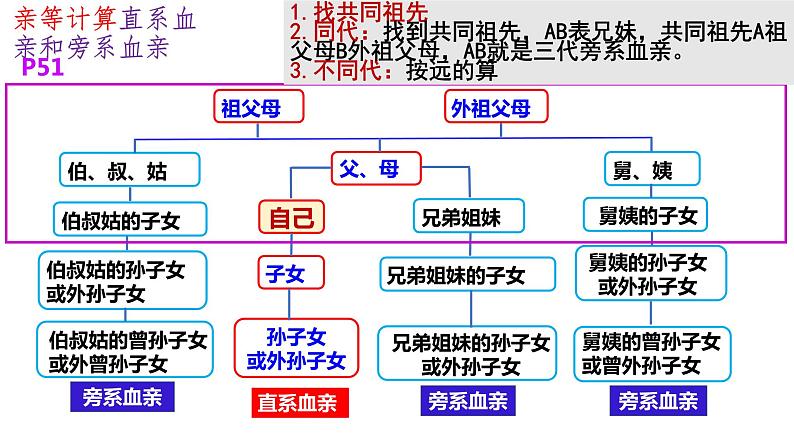 第六课 珍惜婚姻关系 课件-2024届高考政治一轮复习统编版选择性必修二法律与生活第8页