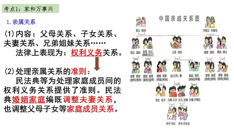 第五课 在和睦家庭中成长 课件-2024届高考政治一轮复习统编版选择性必修二法律与生活第4页