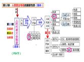 专题五 我国的根本政治制度 课件-2024届高考政治二轮复习统编版必修三政治与法治