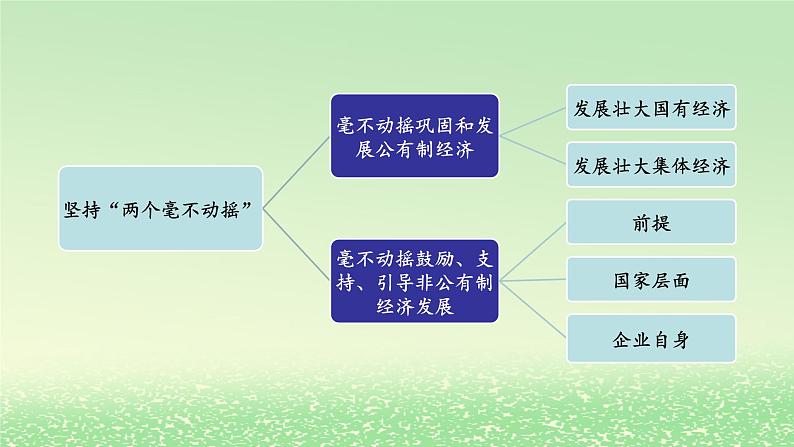 第一单元生产资料所有制与经济体制第一课我国的生产资料所有制1.2坚持“两个毫不动摇”课件（部编版必修2）03