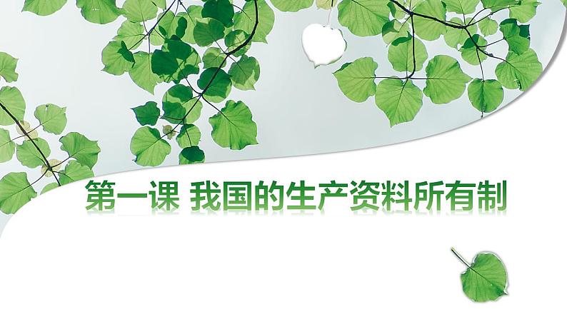 1.1公有制为主体 多种所有制经济共同发展 课件-2023-2024学年高中政治统编版必修二经济与社会第4页