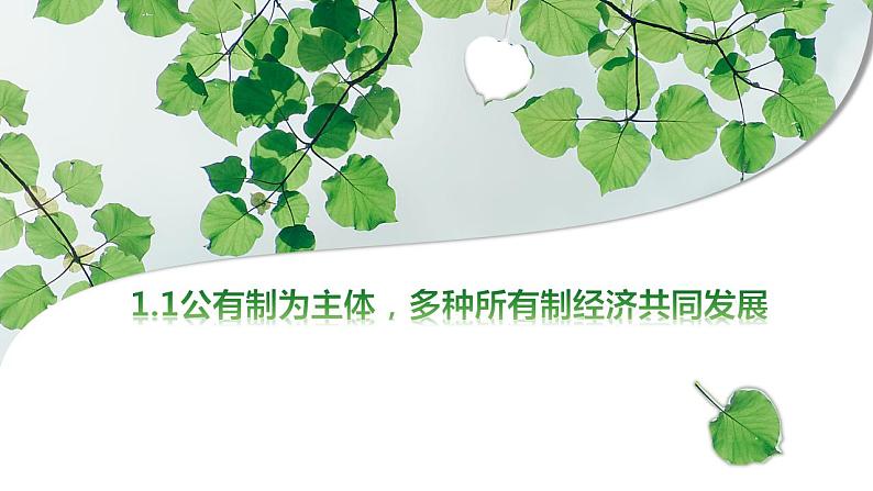 1.1公有制为主体 多种所有制经济共同发展 课件-2023-2024学年高中政治统编版必修二经济与社会第5页