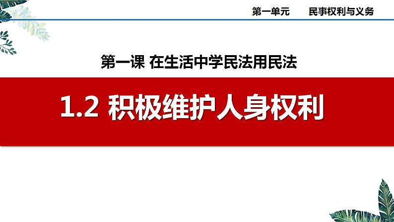 1.2积极维护人身权利课件-统编版选择性必修二法律与生活第2页