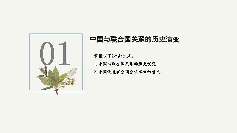 9.1中国与联合国2023-2024学年高二政治课件（统编版选择性必修1）第4页