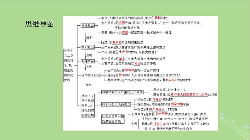 2025版高考政治一轮总复习必修1第1课社会主义从空想到科学从理论到实践的发展课件05