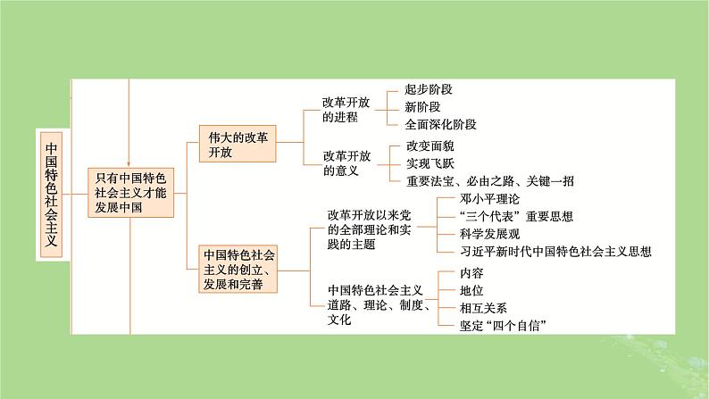 2025版高考政治一轮总复习必修1阶段性整合提升一中国特色社会主义课件03