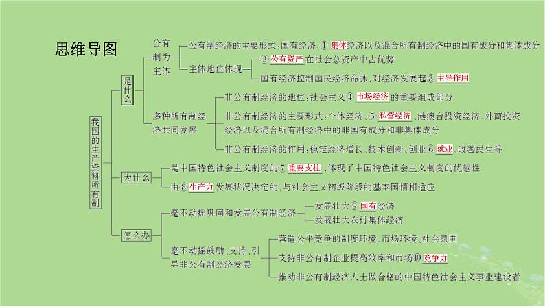 2025版高考政治一轮总复习必修2第1单元生产资料所有制与经济体制第1课我国的生产资料所有制课件第5页