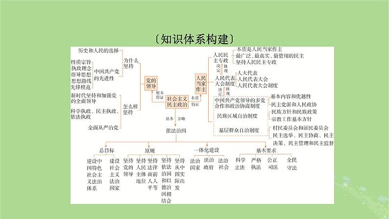 2025版高考政治一轮总复习必修3阶段性整合提升三坚持党的领导人民当家作主依法治国的有机统一课件02