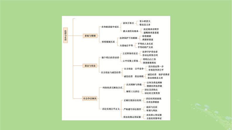 2025版高考政治一轮总复习选择性必修2阶段性整合提升七法律与生活课件03