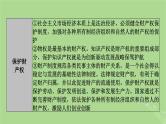 2025版高考政治一轮总复习选择性必修2阶段性整合提升七法律与生活课件