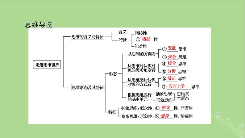 2025版高考政治一轮总复习选择性必修3第1单元树立科学思维观念第1课走进思维世界课件05